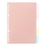 国誉(KOKUYO)学生活页笔记本子配件Campus·A5索引分类 5张 淡彩五色 WSG-RUS121