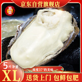 蜀皇乳山生蚝鲜活特大牡蛎海鲜5斤净重XL(28-38个)源头直发包 邮