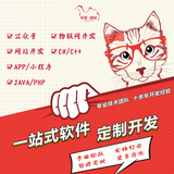 微信小程序定制开发软件定制小程序/APP/管理系统/物联网/数据可视化/上位机程序定制开发企业网站公众号搭建 黑色 定制开发