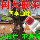 灭树粉专杀大i树烂根除树杀死大i树根药水腐蚀剂灭烂根粉强力凼祡 3瓶装【2瓶价格】