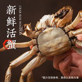 白象 蟹黄拌面 当季新鲜蟹黄 非油炸 方便 速食 拌面 盒装泡面 蟹黄拌面6+招牌猪骨5+羊肉5