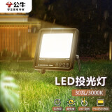 公牛（BULL）LED投光灯户外路灯庭院灯工地灯露营灯 IP65防水30W-3000K暖白光