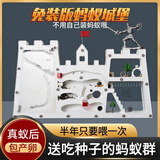 蚂蚁城堡蚂蚁工坊送箱蚁巢室屋庄园家园收获蚁后学生观察生态 S15巢+1后20工+卵+食物（白沙）