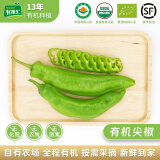 有机汇有机尖椒 微辣长辣椒 有机蔬菜无农残 基地自种 当天新鲜采摘 500g