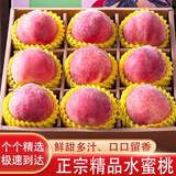 亩家田正宗山东水蜜桃时令毛桃软大桃子脆桃当季孕妇新鲜水果整箱 5斤精选大果【更大更甜】