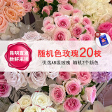 悦多彩AB级优质香水百合 家庭办公室各色生活鲜花 昆明基地 现采直发 单头玫瑰20支（随机1-2个色）