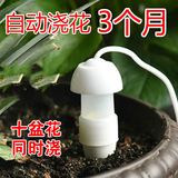 贝吹坊懒人自动浇花神器 假期出差外出家用渗水器日式园林可调节滴灌器 4个装（1.5米线长） 浇花神器+调节器