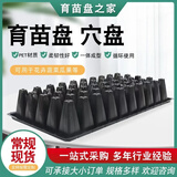 育苗盘育苗盆穴盘塑料杯种植营养钵蔬菜育种扦插盒农用托盘盆 32穴加厚育苗盘10片