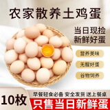 芮瑞 农家正宗土鸡蛋山林散养草鸡蛋 现发柴鸡蛋 40±5g/枚 10枚