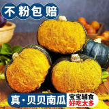 京喜加惠和一号贝贝南瓜生鲜新鲜蔬菜减肥减脂早餐沙拉必备 【优选】 2斤 带箱