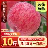 洛川苹果（luochuanapple）【JD快递】陕西延安红富士苹果洛川苹果产地直发脆甜多汁能带皮吃 75mm果8.5斤爆卖24±颗有空格