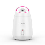 学生果蔬蒸脸仪热喷蒸脸器脸部补水毛孔排毒家用纳米喷雾器美容仪 白色（热喷款）