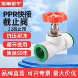 ppr快速接头4分20免热熔水管配件6分25直插式快接管件免烫活接头 32（1寸）快接截止阀