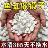 高级净水片鱼缸水族箱净化水浑浊绿水脏除腥臭味过滤免换水净水王 三效合一养水【瓶装300粒】