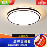 灯具大全2024款客厅卧室灯餐厅灯客厅吸顶灯卧室灯led卫生 48W 黑谍影40cm三色变光