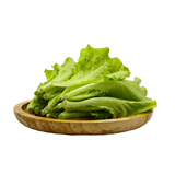 【富硒】生菜苗200g