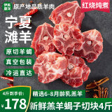 伊民康洋宁夏滩羊肉 生鲜整半只羊 原切羊排羊腿羊肉卷羊蝎子全羊礼盒清真 原切羊蝎子 净重4斤