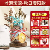 易水阁肉桂生财瓶子发招财香薰摆件肉桂香薰DIY干花材料乔迁新居装饰品 秋色暖阳款-才源滚滚2.0