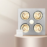 飞雕（FEIDIAO）灯暖浴霸取暖LED照明换气浴室取暖器一体卫生间普通吊顶铁塑箱体