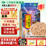 十月稻田 燕麦米 1kg （麦仁 东北 五谷 杂粮 粗粮 真空装 粥米伴侣）