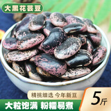 珍源荟2025新货云南黑芸豆3斤牛眼豆大黑花芸豆大腰豆肾豆大芸豆五谷杂 黑花芸豆5斤袋装