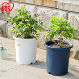 爱丽思花盆塑料深型树脂花盆特大号多肉花盆种花种菜盆爱丽丝 12号蓝色