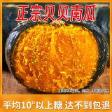 京鲜生 广东精品贝贝南瓜净重5斤 单果300g+(品种:贝栗) 糖10°源头直发