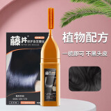 藤井一梳黑天然植物无刺激男女遮盖白发泡泡染发剂染发梳泡沫染发膏纯 一梳加一组染发剂（自然黑）