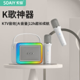 索爱（soaiy）麦克风音响一体带话筒k歌家庭KTV自带声卡蓝牙音箱神器无线唱歌家用卡拉ok SK10双麦版苹果白