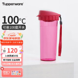 特百惠（Tupperware）茶韵500ML塑料杯 男女学生便携夏季水杯子大容量办公用 美唇红