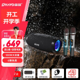 雷登（OHAYO）户外K歌音响蓝牙音箱一体机大功率100W三喇叭双振膜立体声重低音炮混响广场舞直播送双麦