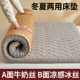 雅鹿夏季床垫子1.2x2米软垫家用床褥宿舍单人凉席榻榻米地铺租房睡垫 星空灰【凉席床垫双面可用】 120cm*200cm -单人床用