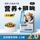 威尔逊馋嘴 加菲猫猫粮 全阶段专用猫粮天然粮猫粮猫咪主粮 卵磷脂三文鱼冻干款5斤