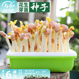 寿禾 芽菜种子萝卜四季夏秋四季无土水培蔬菜豌豆芽 红花生芽种子 500g