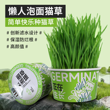 欢宠网猫草种子盆栽套装懒人罐头水培土培种植猫零食猫咪化毛球片猫薄荷