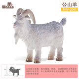 Wenno仿真家禽儿童早教认知玩具猪羊奶牛模型男女孩过家家玩具动物摆件 公山羊（Billy goat）
