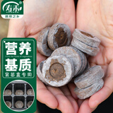寿禾 育苗块基质营养土种植快 育苗盒专用育苗块30个