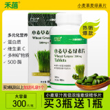 禾蓓小麦草麦绿素片300粒小麦苗新鲜榨汁浓缩提取精华压片糖果青汁片 1瓶装300片