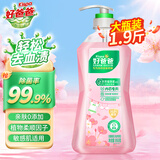 好爸爸洗衣液天然植物基宝宝亲肤洗衣露 内衣内裤液高效除菌手洗批发装 【大瓶装】樱花内衣露 950g 1瓶