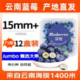 田良季云南蓝莓【JD/顺丰多地次日达】超大果花香蓝莓新鲜水果送礼 精选果【单果15mm+ 】 【100g-125g】*4盒【较划算】