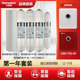 汉斯顿净水器滤芯HSD-75G-04、HSD-75E-04适配正品PP活性炭吸附RO反渗透口感因子MTF 一年套装（每年更换）