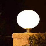 瑞科菲照明太阳能户外圆球灯新农村大门围墙柱头灯室外花园别墅庭院防水路灯 20CM不锈钢底座暖光+无遥控