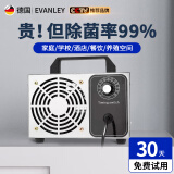 EVANLEY德国臭氧发生器消毒机家用空气净化器工业食品厂汽车杀菌除甲醛 5g/h（50平方）