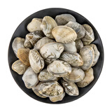 鲜京采 鲜活花蛤350g/盒（38-48粒）花甲/沙甲 无水干包 活鲜贝壳类 