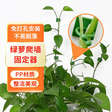 漫生活绿萝固定器绿植免钉贴墙自粘式挂钩园艺藤蔓植物攀爬夹子中号30个