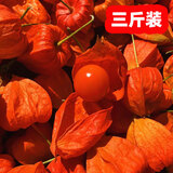 2025新鲜东北红姑娘果泡水喝苦姑娘灯笼果中药材谷鸟泡蜂蜜1斤 有皮有果3斤