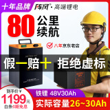 阵风电动车锂电池大容量快递外卖电瓶三元锂磷酸铁锂电动摩托车专用 48V30A【铁锂+蚂蚁板】+10A可调