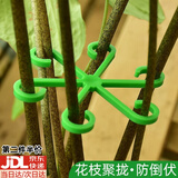 靓做龟背竹支撑固定器防倒伏春羽支架水培枝干花盆花架防劈叉款爬藤架 3套共12个【四个尺寸】