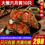 【活蟹】阳澄清歆大闸蟹 鲜活特大螃蟹公蟹母蟹 海鲜水产生鲜礼盒 精品六月黄3.0-3.3两 十只礼盒装