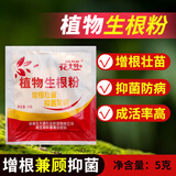 花大师 君子兰专用土营养土君子兰土专用营养土花土盆栽土壤种植土肥料 生根粉5克